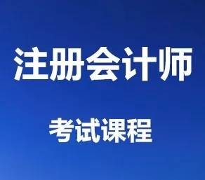 注冊會計師（CPA）核心業(yè)務(wù)全解析 從理論到實操的職業(yè)進階指南